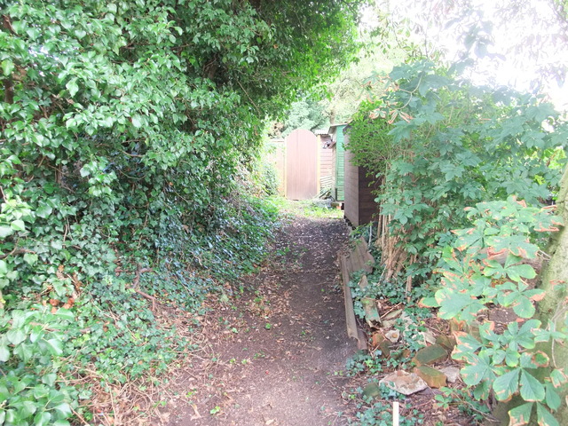dscf7187.jpg